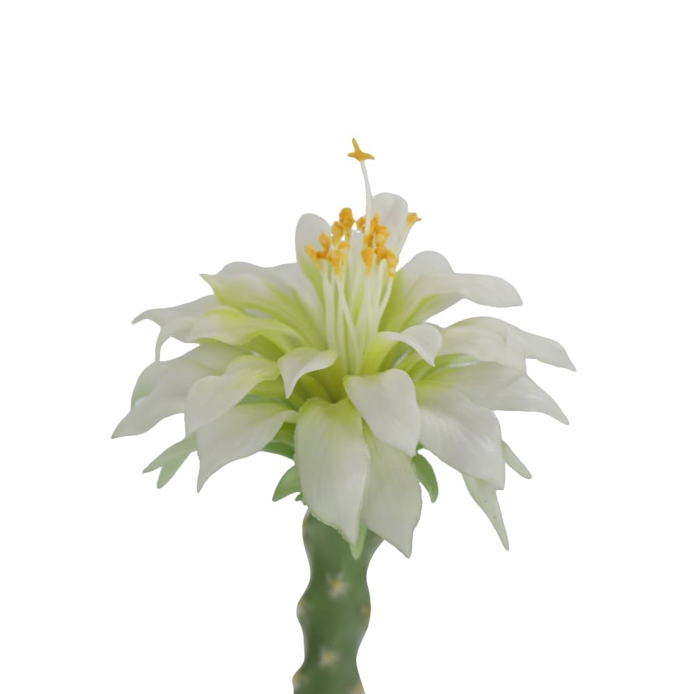 Niwugady Cactus Planta Artificial en Maceta Grande Suculentas Artificiales Suculentas Decorativas Cactus Cactus Artificial Cactus para Casa/Jardín/Oficina/Decoración, 43 x 36 x 109 cm
