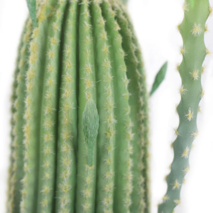 Niwugady Cactus Planta Artificial en Maceta Grande Suculentas Artificiales Suculentas Decorativas Cactus Cactus Artificial Cactus para Casa/Jardín/Oficina/Decoración, 43 x 36 x 109 cm